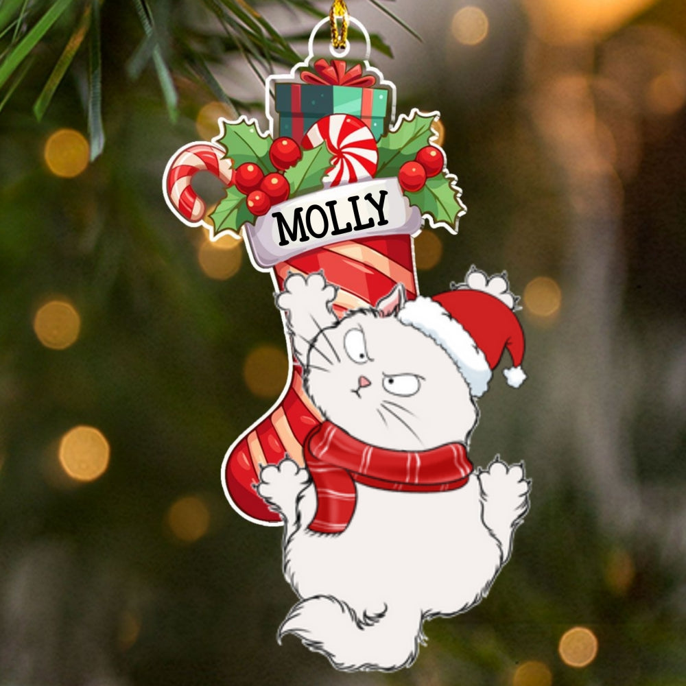 Personalized Custom Acrylic Cat Scratching Christmas Ornament
