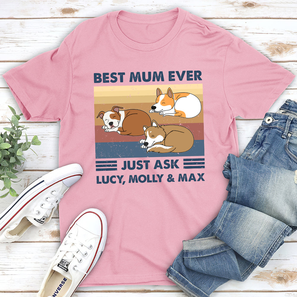 Best Dad Ever Just Ask - Personalized Custom Unisex Heavy Cotton T-shirt for Pet Lovers