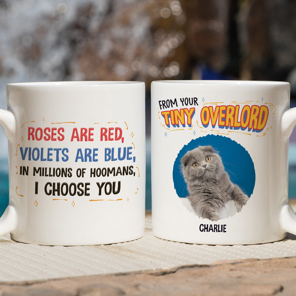 In Millions Of Hoomans Personalized Custom Photo Coffee Mug - 11oz & 15oz Sizes