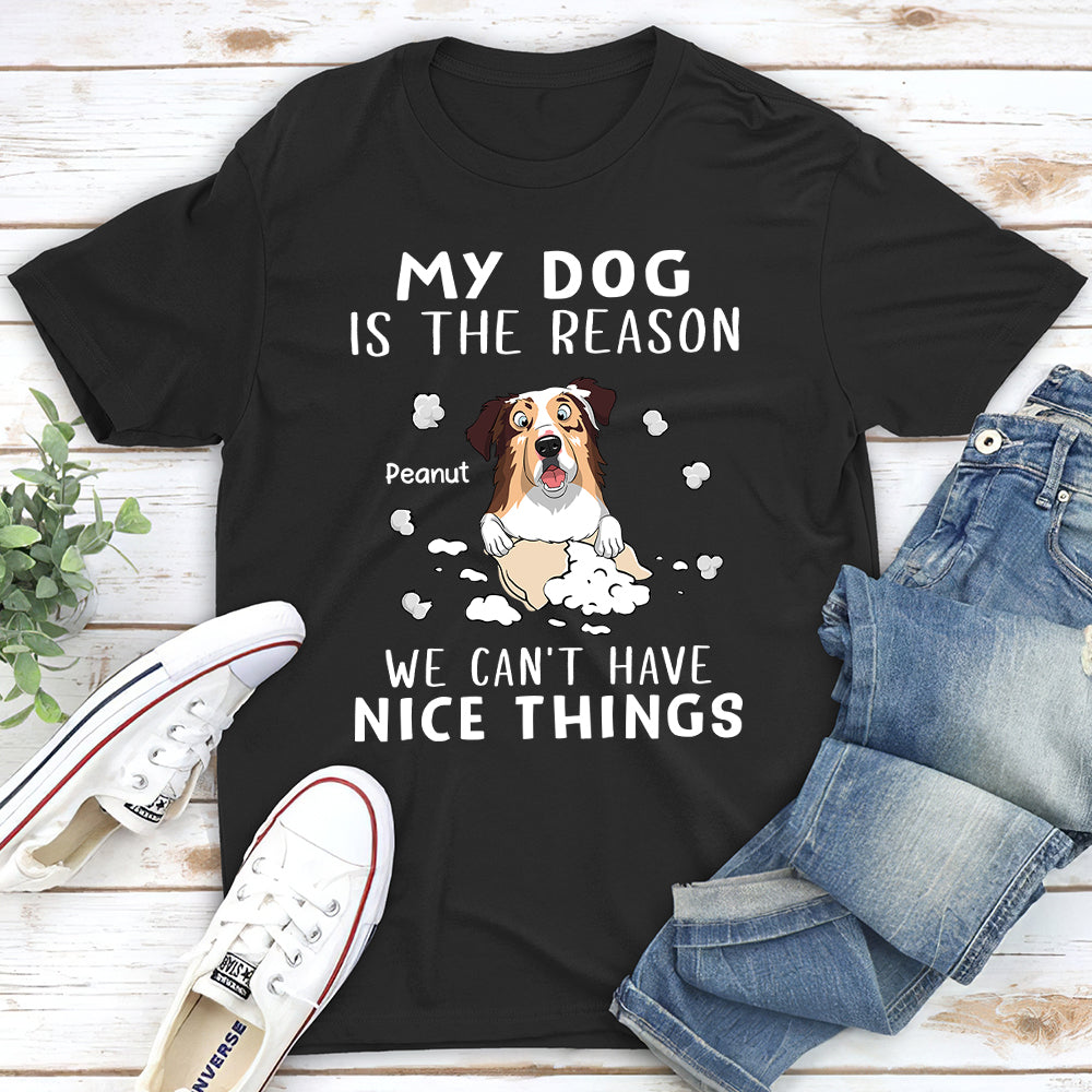 The Reason - Personalized Custom Unisex 5.3 oz T-shirt for Pet Lovers