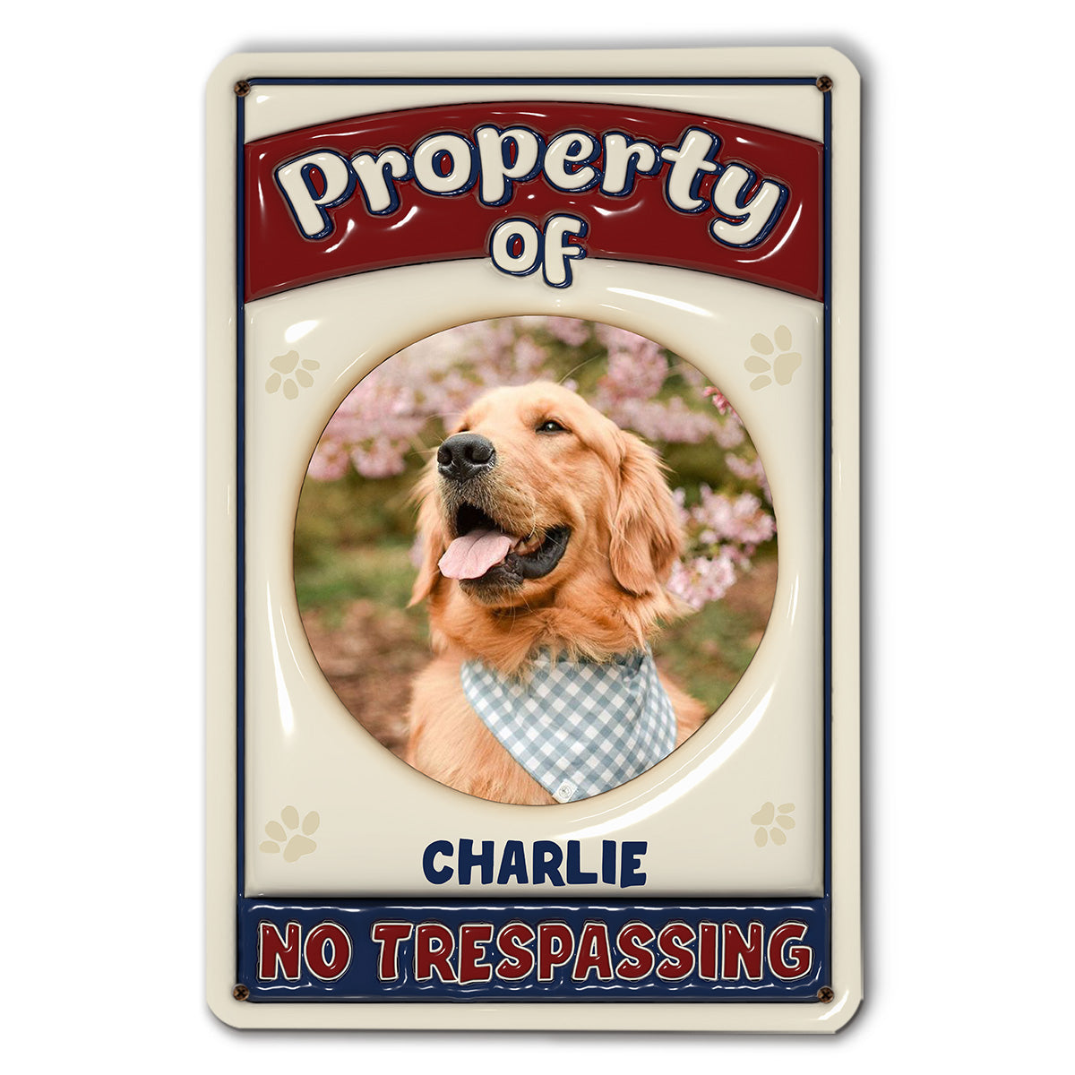 Exclusive Personalized Custom 3D Inflated Effect No Trespassing Version Metal Photo Sign