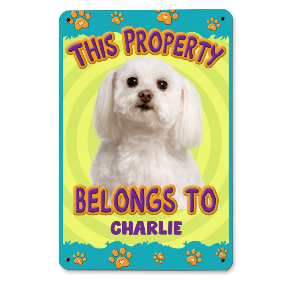 Exclusive Personalized Custom Metal Sign - This Human Belongs To Us Cartoon Photo