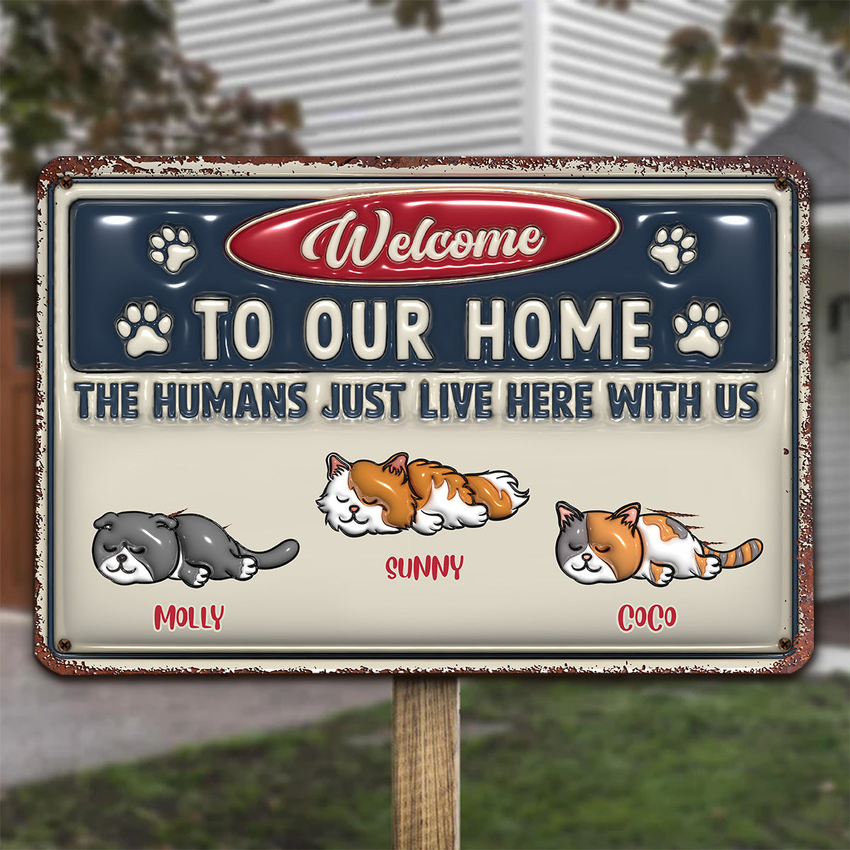 Just Live Here Ver Cat - Premium Personalized Custom 3D Inflated Effect Metal Sign for Home and Office Decor