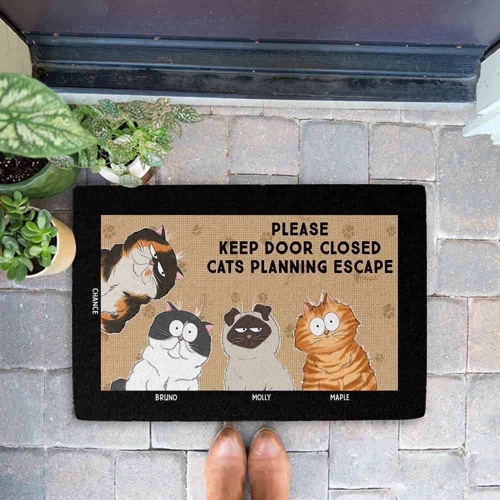 Personalized Custom Keep Door Closed Doormat with Cat Picture