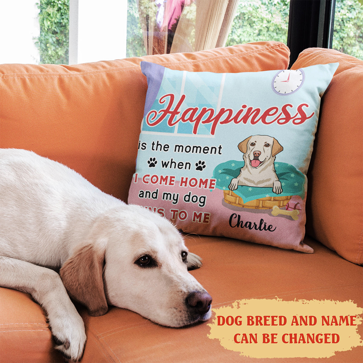 Personalized Custom Happiness Throw Pillow - 12' x 12' & 18' x 18' for Pet Lovers